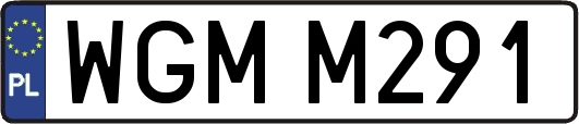WGMM291