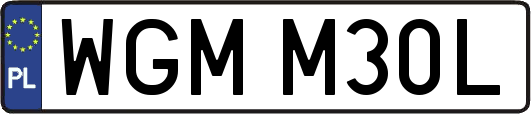 WGMM30L