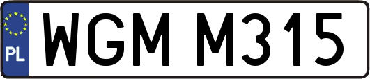 WGMM315