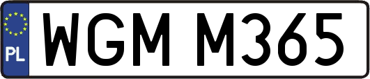 WGMM365