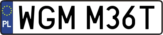 WGMM36T