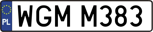 WGMM383