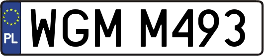 WGMM493