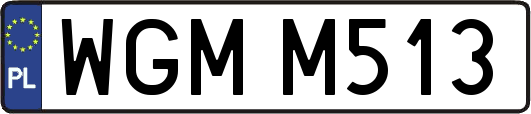 WGMM513