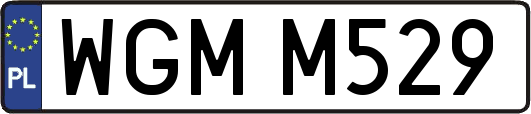 WGMM529