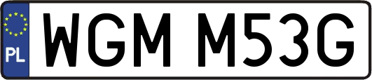WGMM53G