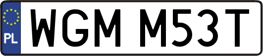 WGMM53T