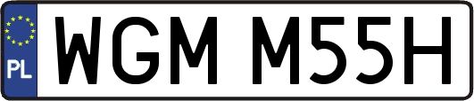 WGMM55H