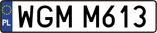WGMM613