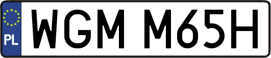 WGMM65H