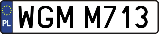 WGMM713