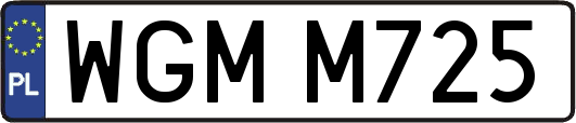 WGMM725