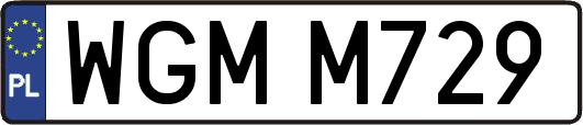 WGMM729