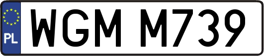 WGMM739