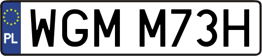 WGMM73H
