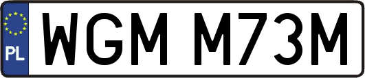 WGMM73M