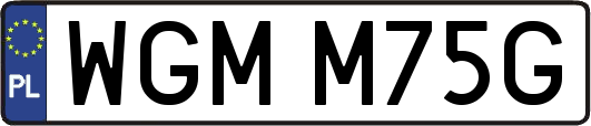 WGMM75G