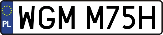 WGMM75H
