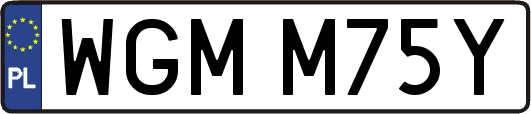 WGMM75Y