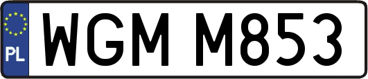 WGMM853