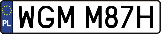 WGMM87H