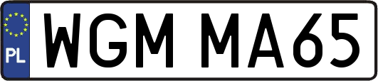 WGMMA65