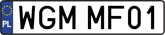 WGMMF01