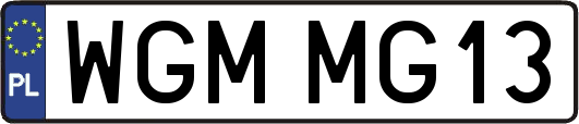 WGMMG13