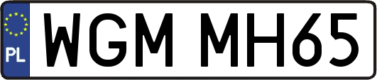 WGMMH65