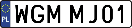 WGMMJ01