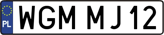 WGMMJ12