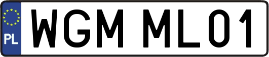 WGMML01