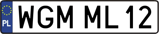 WGMML12
