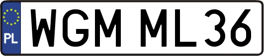 WGMML36