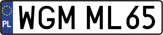 WGMML65