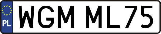 WGMML75