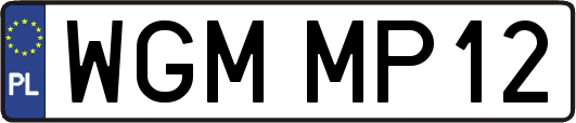 WGMMP12