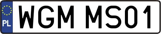 WGMMS01