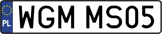 WGMMS05