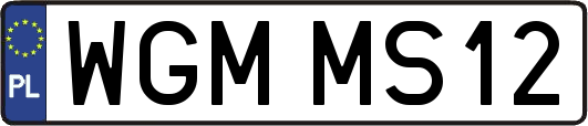 WGMMS12