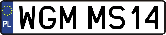 WGMMS14