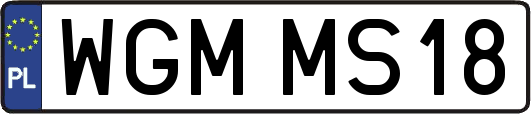 WGMMS18