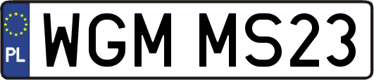 WGMMS23