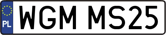 WGMMS25