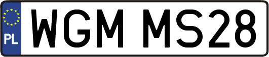 WGMMS28