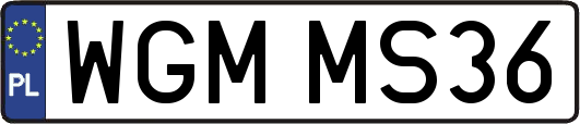 WGMMS36