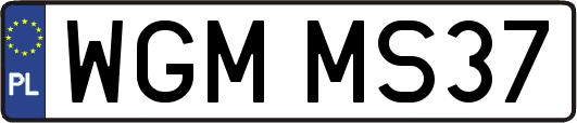 WGMMS37