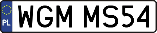 WGMMS54
