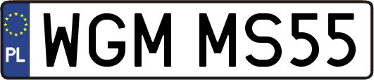 WGMMS55