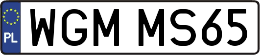 WGMMS65